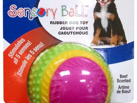 Spot Sensory Ball Dog toy Assorted 1ea 3.25 in, MD For Sale