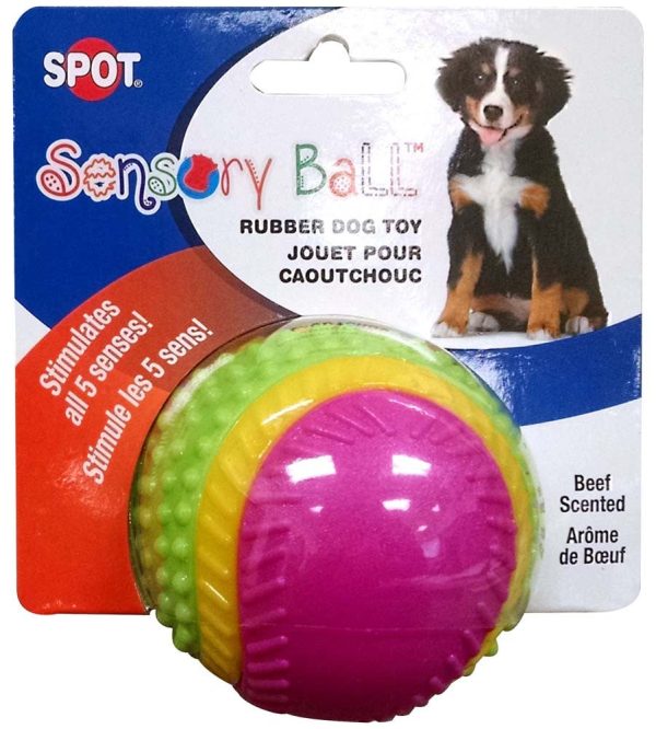 Spot Sensory Ball Dog toy Assorted 1ea 3.25 in, MD For Sale