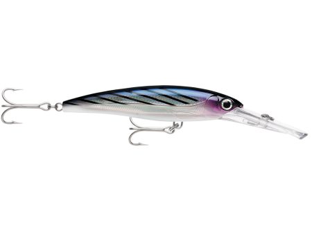 Rapala X-Rap Magnum 30 Bonito [XRMAG30BTO] Fashion