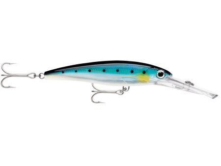 Rapala X-Rap Magnum 15 Blue Sardine [XRMAG15BSRD] Fashion