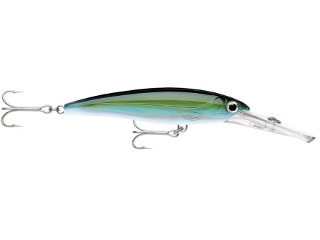 Rapala X-Rap Magnum 15 Yellowfin Tuna [XRMAG15YFT] on Sale