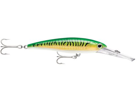 Rapala X-Rap Magnum 15 Gold Green Mackerel [XRMAG15GGM] For Cheap