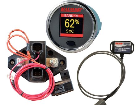 Balmar SG210 Battery Monitor Kit w Display Shunt Gateway [SG210] Fashion